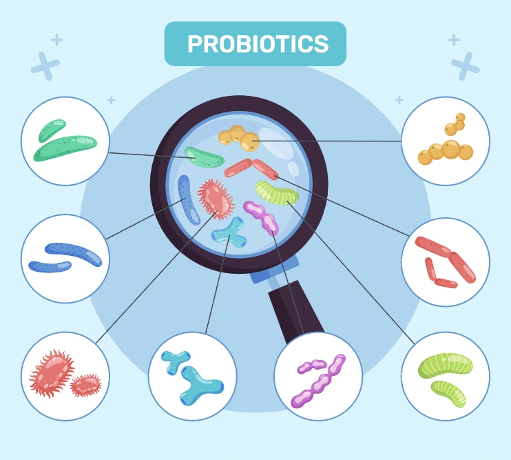 drmintz-probiotics